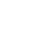 Government icon